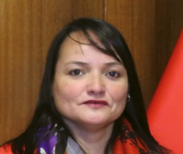 Pilar Toncio Arcos